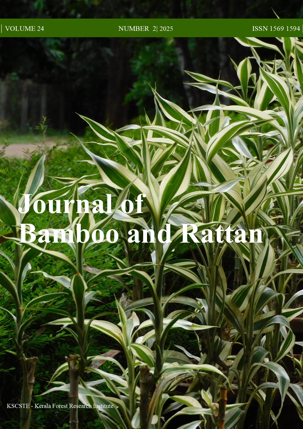 					View Vol. 24 No. 2 (2025): Issue 2
				