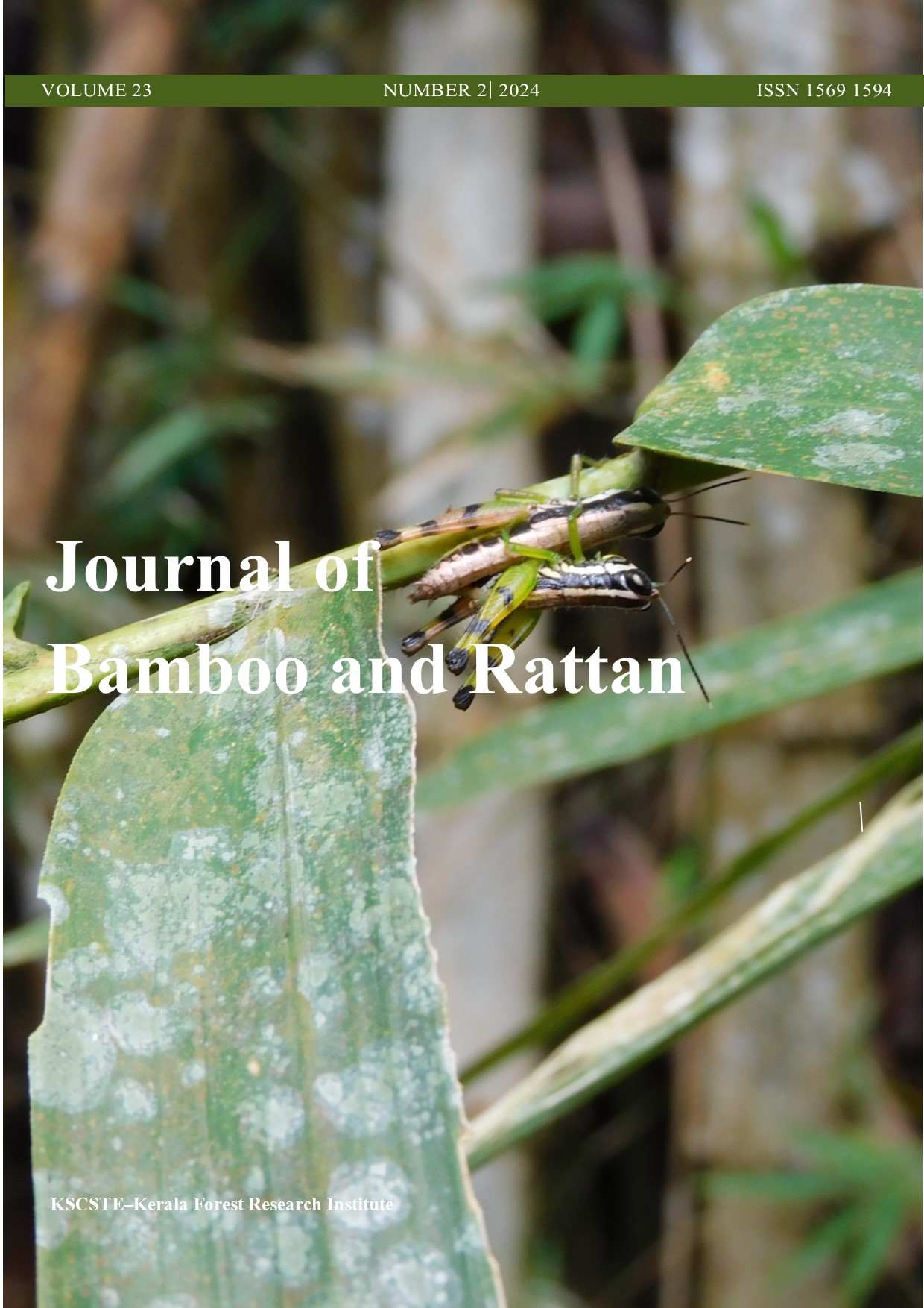 					View Vol. 23 No. 2 (2024): Issue 2
				