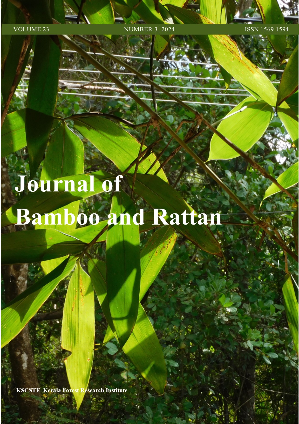 					View Vol. 23 No. 3 (2024): Issue 3
				